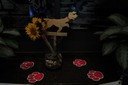 MUR_3649