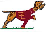 Pointer Dog